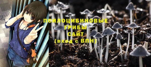 винт Коряжма