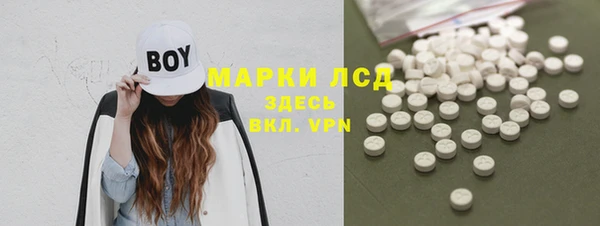 ПСИЛОЦИБИНОВЫЕ ГРИБЫ Костерёво