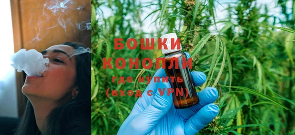 ПСИЛОЦИБИНОВЫЕ ГРИБЫ Костерёво